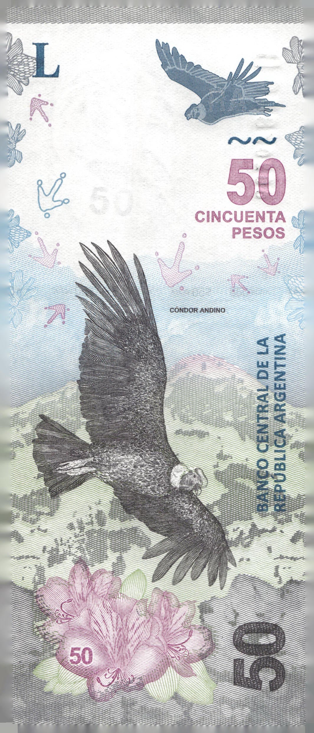 2018 Argentina 50 Pesos Banknote Andean Condor Cerro Aconcagua P-363