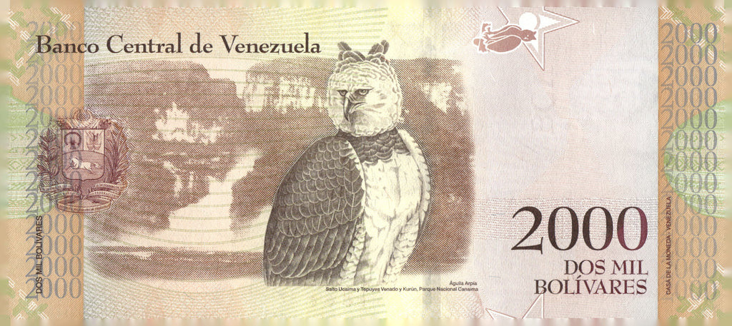 2016 Venezuela 2000 Bolivares Banknote Guaicaipuro Harpy Eagle Currency