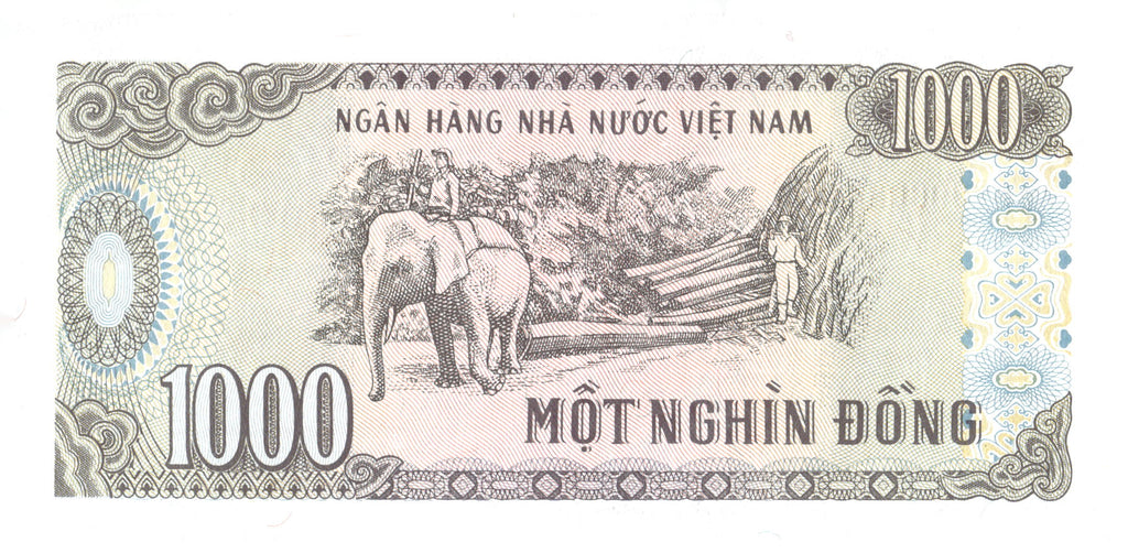 17 World Banknote Collection Lot with 3-Pocket Album Display Pages
