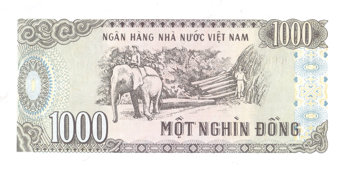 17 World Banknote Collection Lot with 3-Pocket Album Display Pages